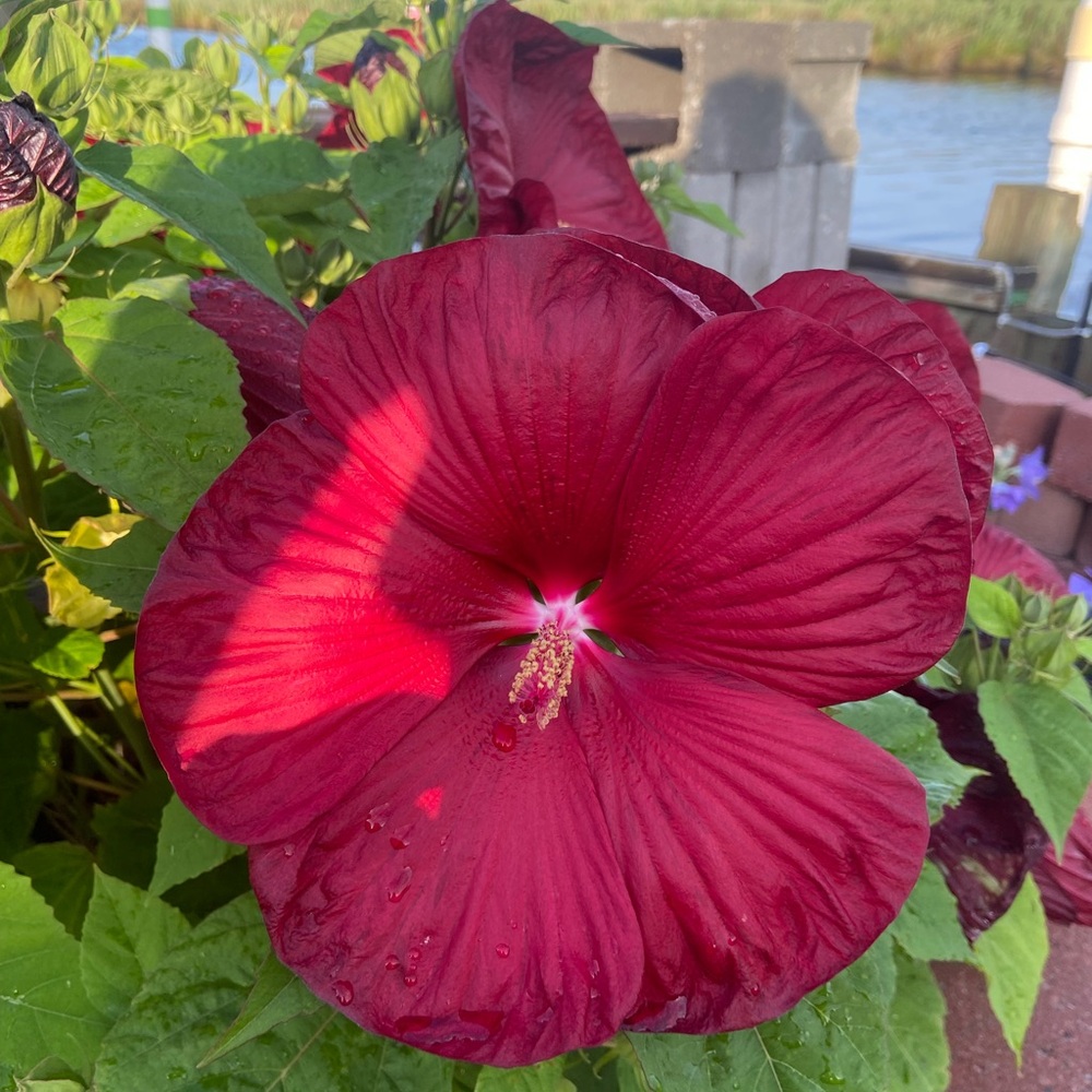 Meet your Posher, Kelly